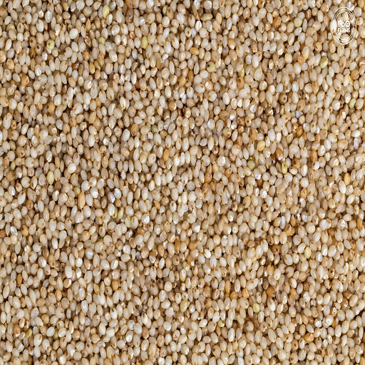 Organic Barnyard Millet